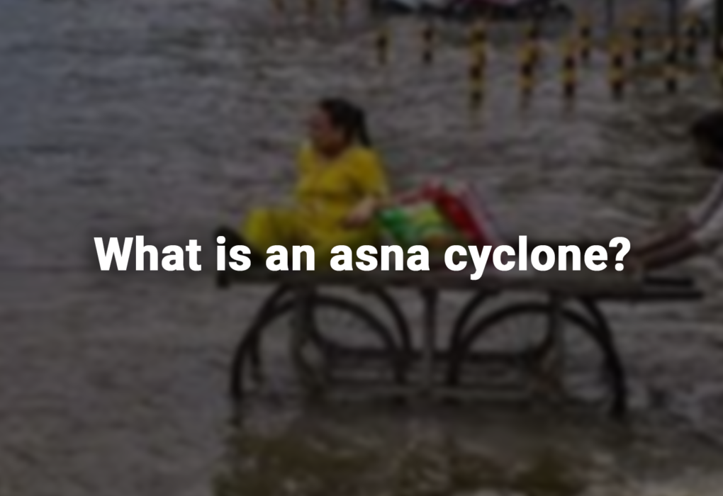 What is an asna cyclone?